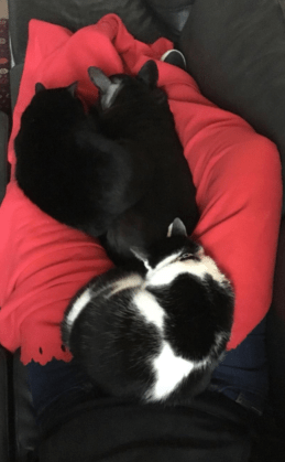 2018-03-04_20.02.59[1]